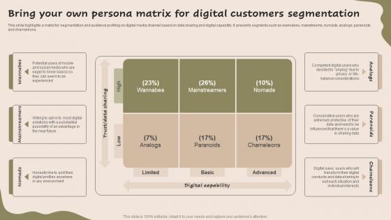 Bring Your Own Persona Matrix For Digital Strategic Guide For Market MKT SS V