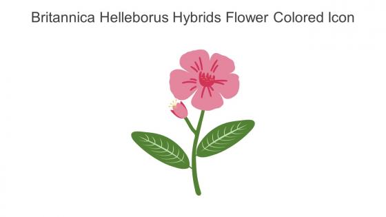 Britannica Helleborus Hybrids Flower Colored Icon In Powerpoint Pptx Png And Editable Eps Format