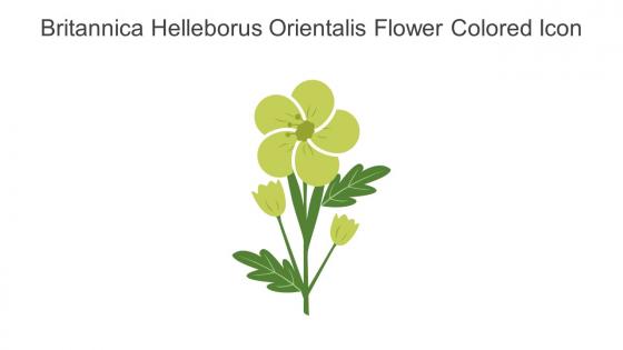 Britannica Helleborus Orientalis Flower Colored Icon In Powerpoint Pptx Png And Editable Eps Format