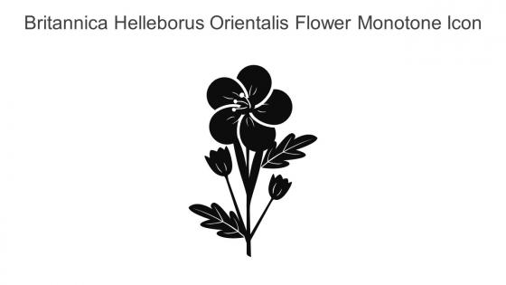Britannica Helleborus Orientalis Flower Monotone Icon In Powerpoint Pptx Png And Editable Eps Format