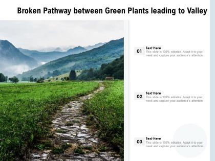 Broken pathway between green plants leading to valley