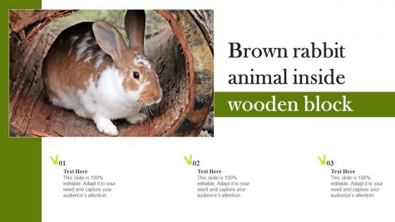 Brown Rabbit Animal Inside Wooden Block