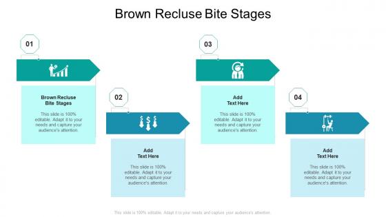 Brown Recluse Bite Stages In Powerpoint And Google Slides Cpb