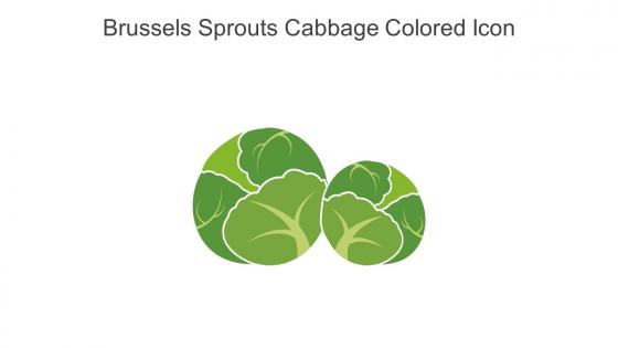 Brussels Sprouts Cabbage Colored Icon In Powerpoint Pptx Png And Editable Eps Format