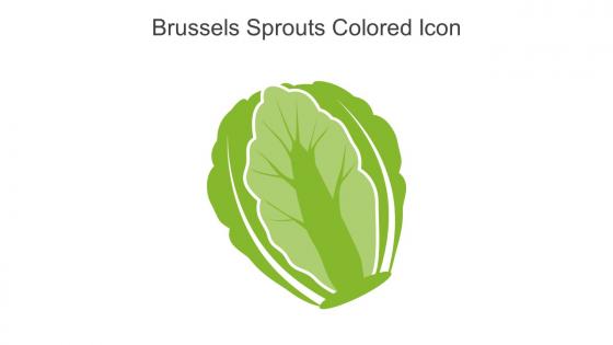 Brussels Sprouts Colored Icon In Powerpoint Pptx Png And Editable Eps Format