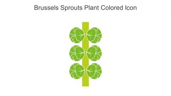 Brussels Sprouts Plant Colored Icon In Powerpoint Pptx Png And Editable Eps Format