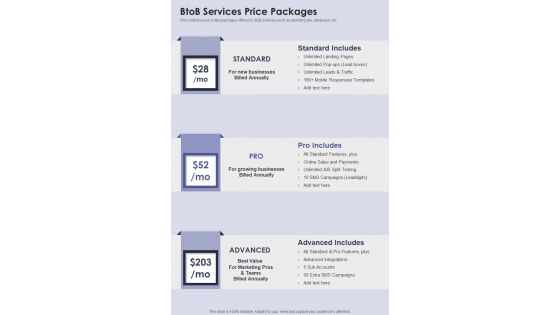 Btob Company Proposal Btob Services Price Packages One Pager Sample Example Document