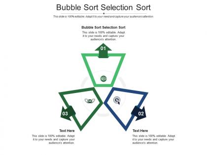 Bubble sort selection sort ppt powerpoint presentation layouts cpb