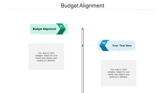 Budget alignment ppt powerpoint presentation ideas graphics download cpb