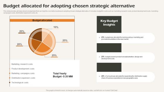 Budget Allocated For Adopting Chosen Strategic Alternative Business Strategic Analysis Strategy SS V