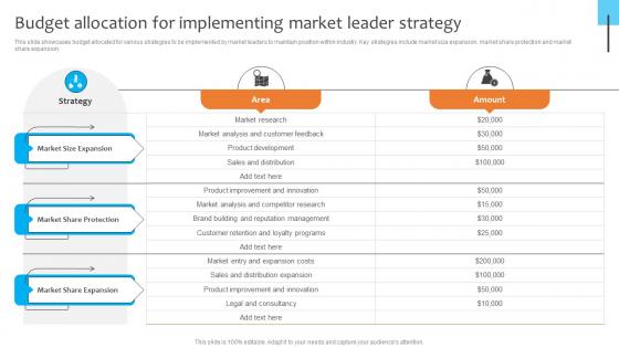 Budget Allocation For Implementing Market Leader Strategy Dominating The Competition Strategy SS V