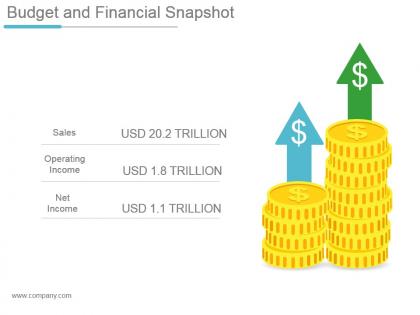 Budget and financial snapshot powerpoint shapes