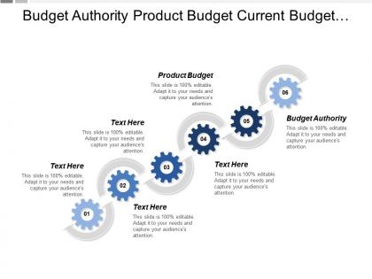 Budget authority product budget current budget customer requirement