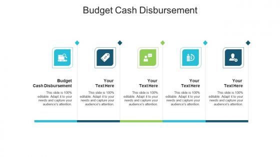 Budget cash disbursement ppt powerpoint presentation pictures template cpb