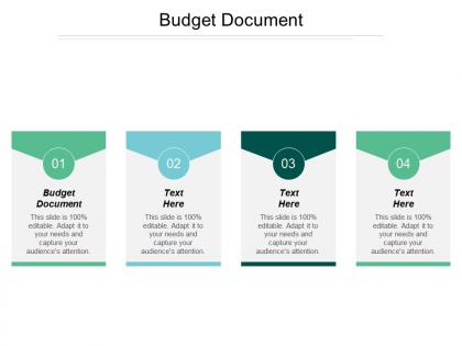 Budget document ppt powerpoint presentation file example file cpb