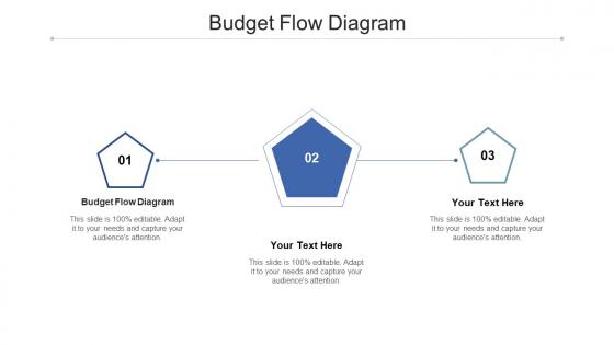 Budget flow diagram ppt powerpoint presentation infographic template background images cpb