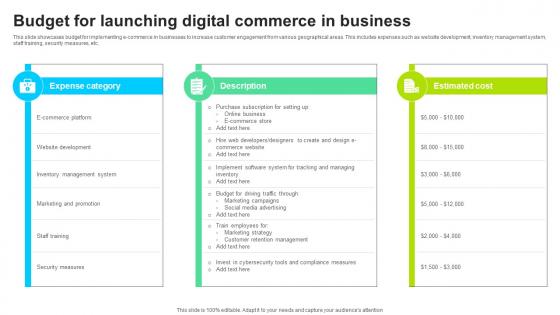 Budget For Launching Digital Commerce In Business
