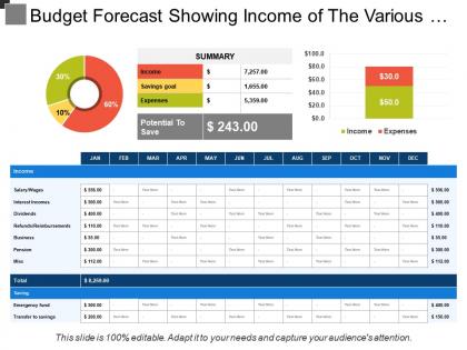 Budget forecast showing income of the various months and savings