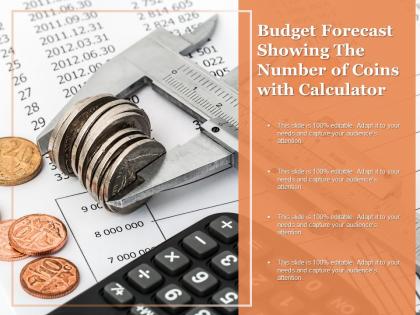 Budget forecast showing the number of coins with calculator