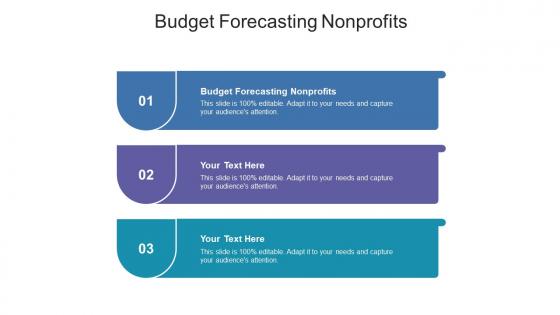 Budget forecasting nonprofits ppt powerpoint presentation icon cpb
