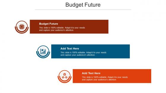 Budget Future Ppt Powerpoint Presentation Outline Portrait Cpb
