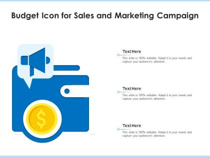 Budget icon for sales and marketing campaign