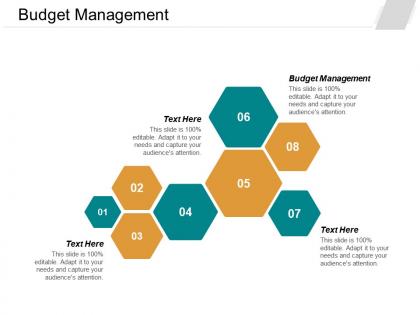 Budget management ppt powerpoint presentation file shapes cpb