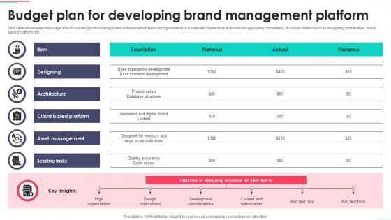 Budget Plan For Developing Brand Management Platform