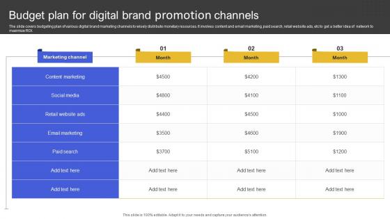 Budget Plan For Digital Brand Promotion Channels