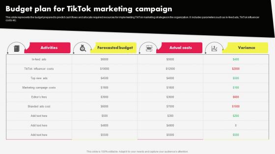 Budget Plan For Tiktok Marketing Campaign MKT SS V