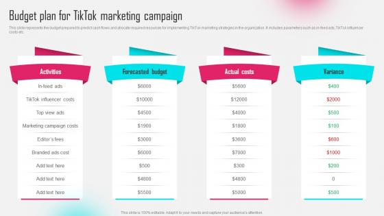 Budget Plan For Tiktok Marketing Campaign Tiktok Influencer Marketing MKT SS V