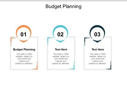 Budget planning ppt powerpoint presentation ideas example cpb