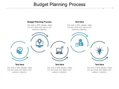 Budget planning process ppt powerpoint presentation show examples cpb