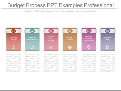 Budget process ppt examples professional