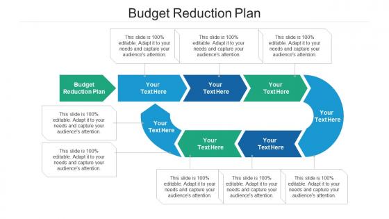 Budget reduction plan ppt powerpoint presentation infographic template example cpb