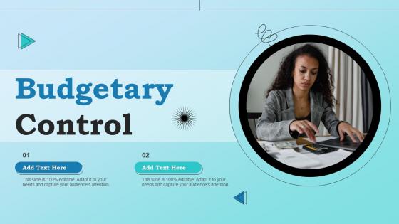 Budgetary Control Ppt Powerpoint Presentation File Example