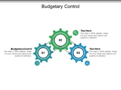 Budgetary control ppt powerpoint presentation gallery vector cpb