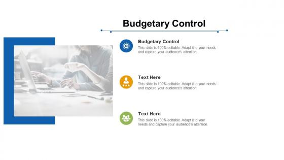 Budgetary control ppt powerpoint presentation slides download cpb