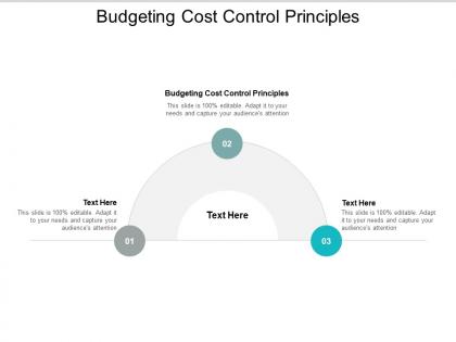 Budgeting cost control principles ppt powerpoint presentation background designs cpb