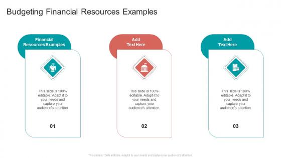 Budgeting Financial Resources Examples In Powerpoint And Google Slides Cpb