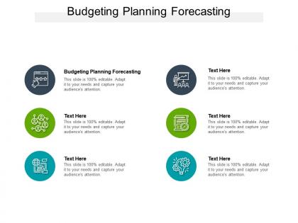 Budgeting planning forecasting ppt powerpoint presentation infographic template graphics design cpb
