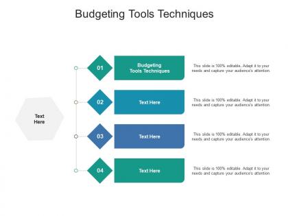 Budgeting tools techniques ppt powerpoint presentation infographics graphics template cpb