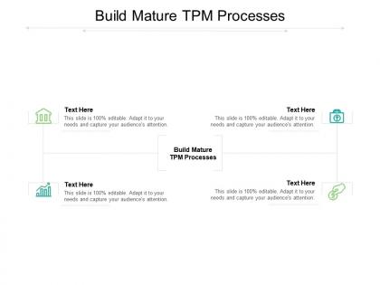 Build mature tpm processes ppt powerpoint presentation outline designs cpb