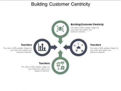 Building customer centricity ppt powerpoint presentation model diagrams cpb