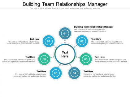 Building team relationships manager ppt powerpoint presentation icon graphics tutorials cpb