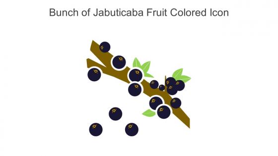 Bunch Of Jabuticaba Fruit Colored Icon In Powerpoint Pptx Png And Editable Eps Format