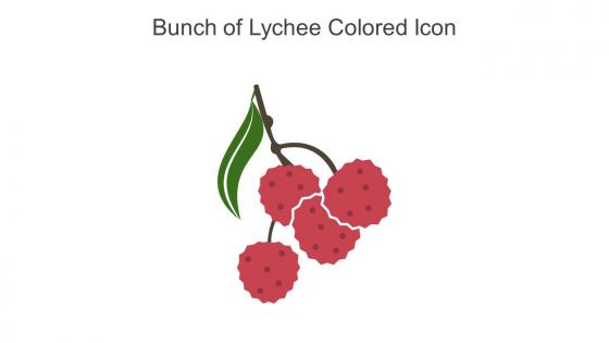 Bunch Of Lychee Colored Icon In Powerpoint Pptx Png And Editable Eps Format