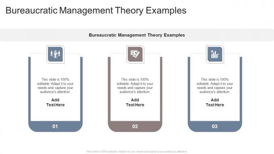 Bureaucratic Management Theory Examples In Powerpoint And Google Slides Cpb