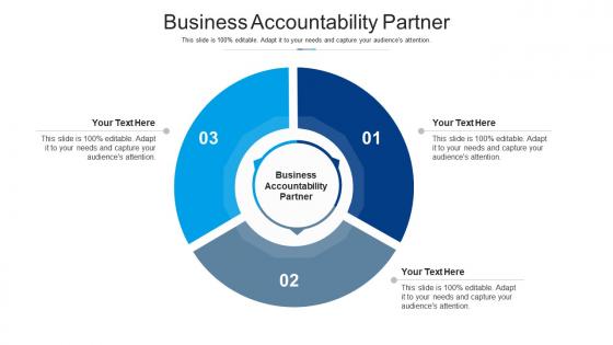Business accountability partner ppt powerpoint presentation layouts files cpb