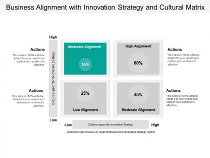 Business alignment with innovation strategy and cultural matrix